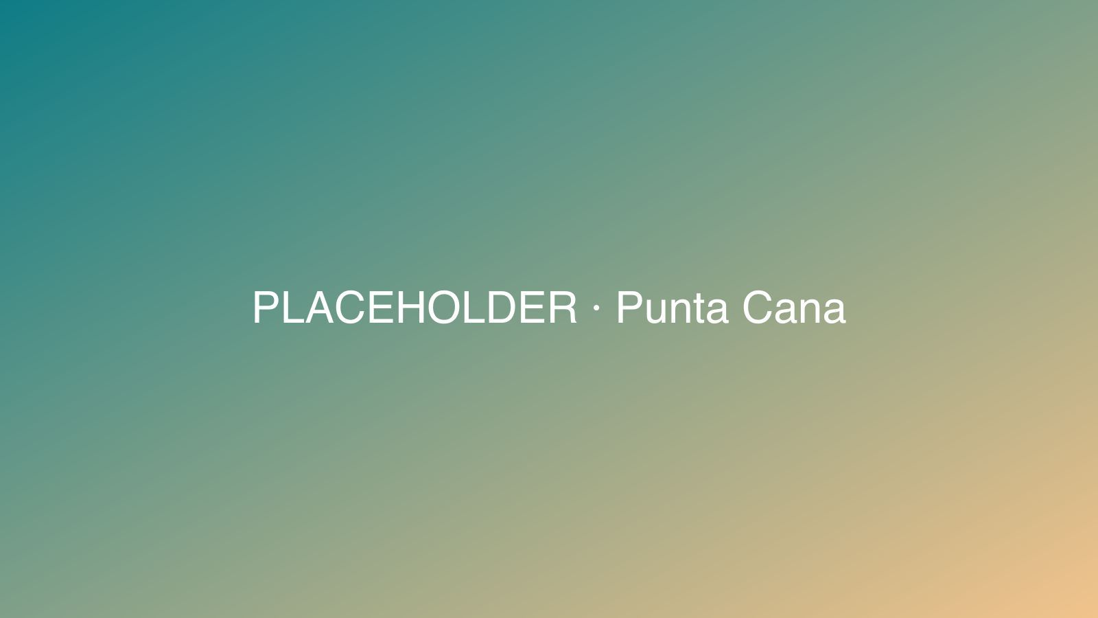 Imagen provisoria de Punta Cana